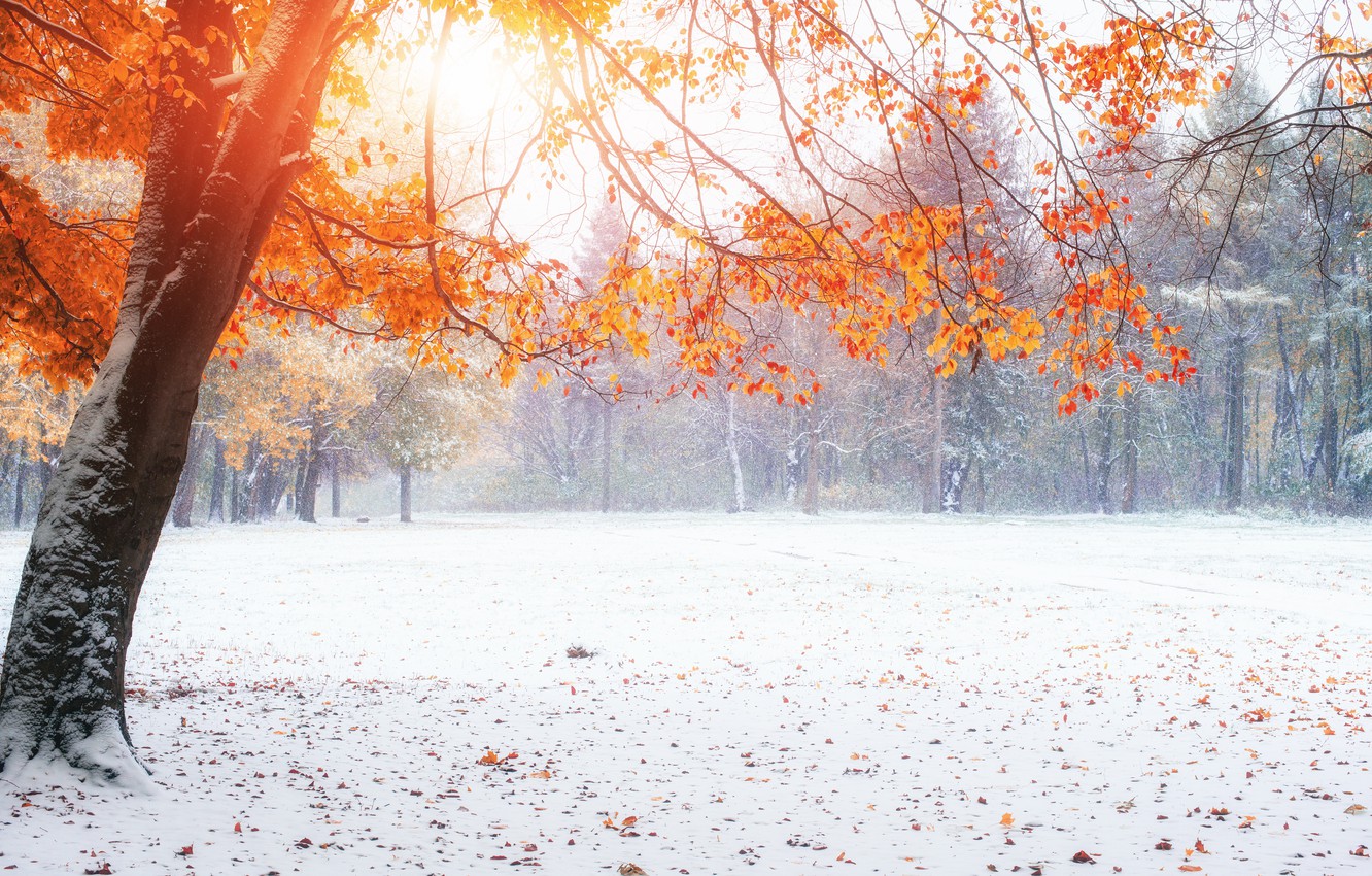 Кульбида пообещал украинцам теплый декабрь и 30-градусные морозы в январе и феврале