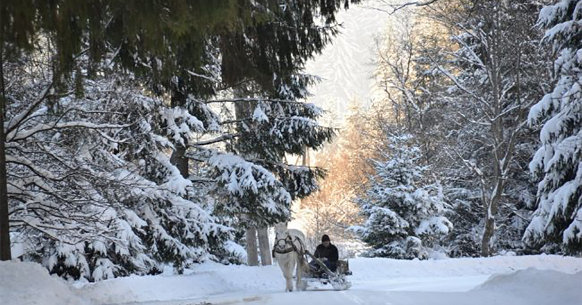 Самые красивые фото природных чудес Украины зимой